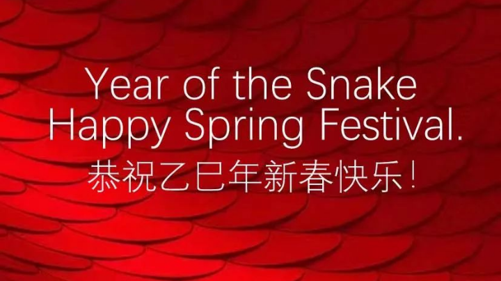 灵蛇献瑞！2025海南国际知识产权交易大会恭祝乙巳年新春快乐！