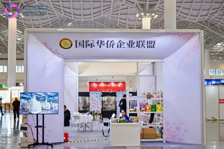 国际华侨企业展团